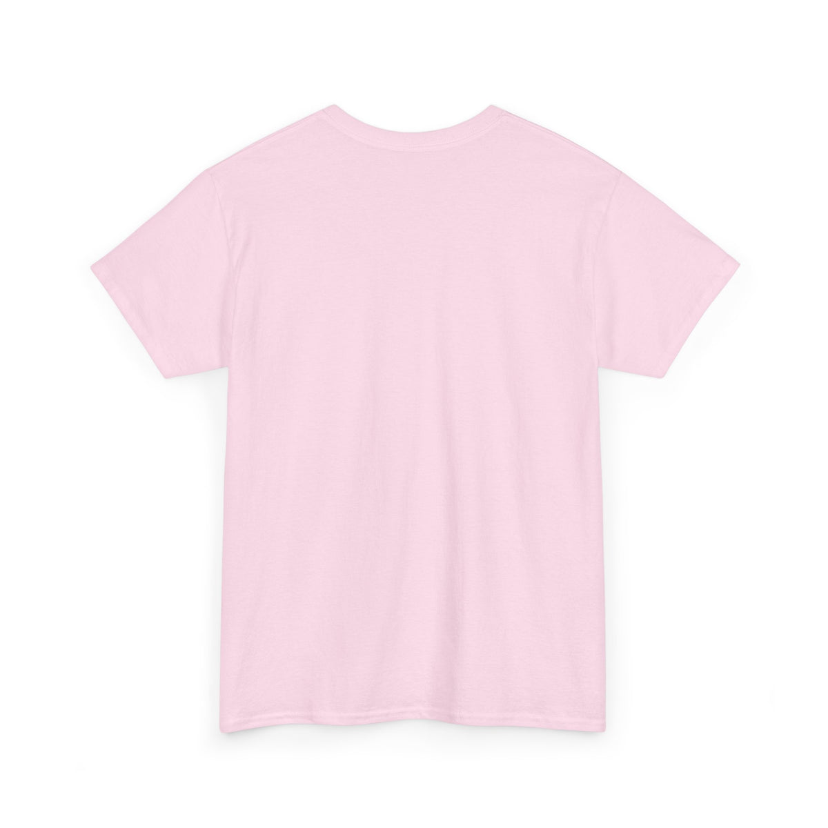 "Not Friendly!" Stop Sign T-Shirt